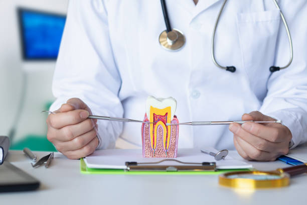 Best Emergency Root Canal Treatment in Bellerose, NY